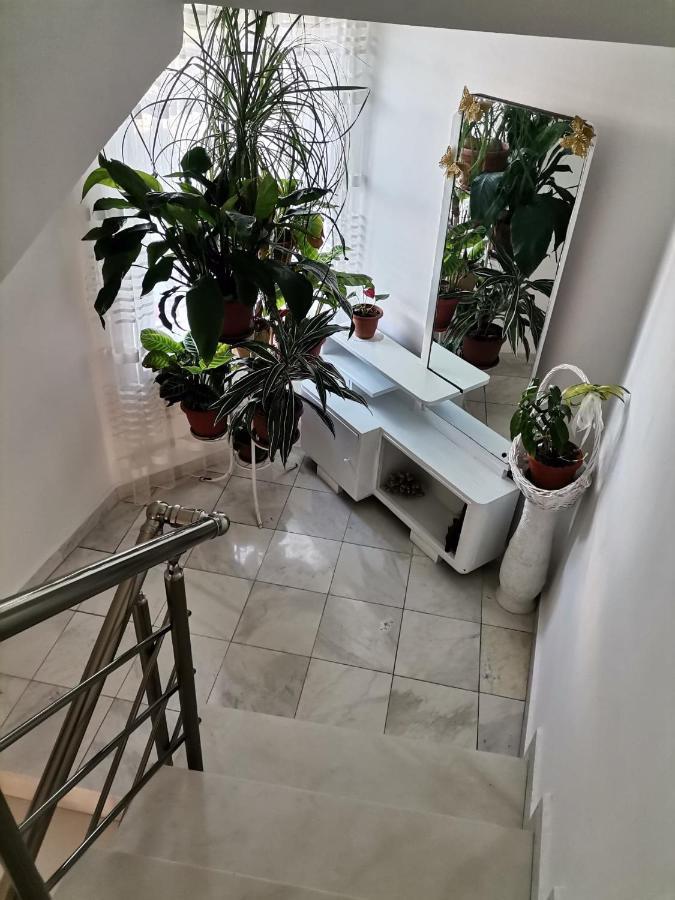 Guest House Konomaevi Созополь Экстерьер фото