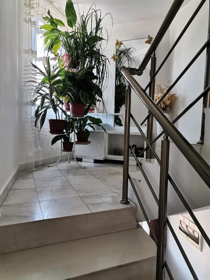 Guest House Konomaevi Созополь Экстерьер фото